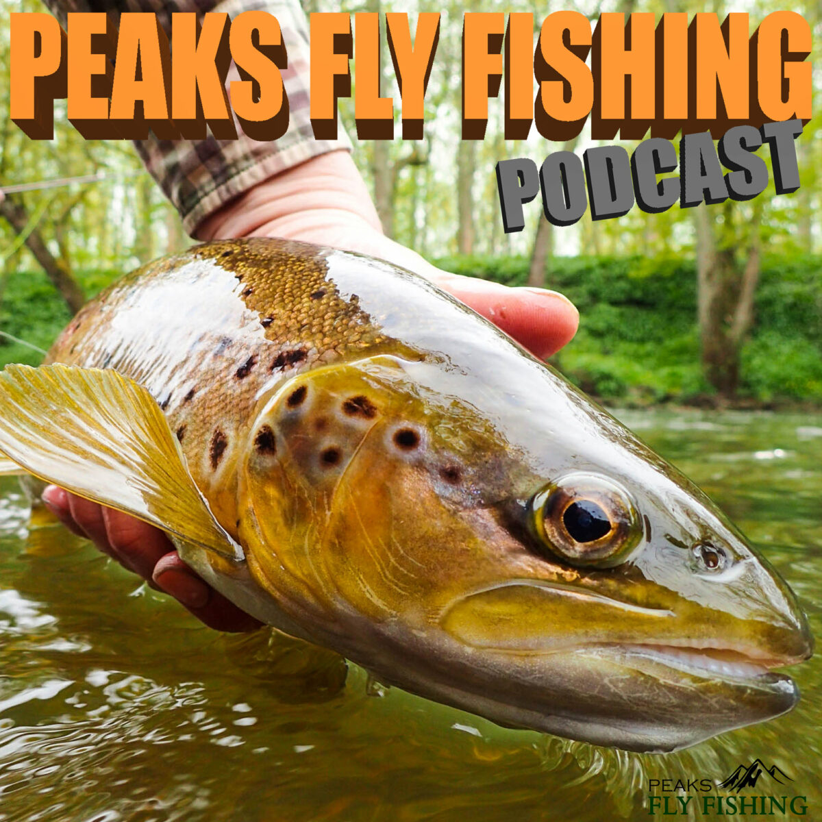 Peaks Fly Fishing Podcast Fly Fishing Podcast – Fly Fishing For